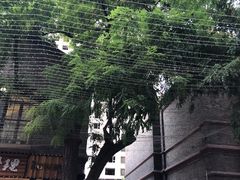 -绿地·中山里