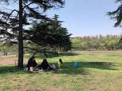 -共青国家森林公园-售票处