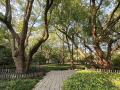 -徐家汇源景区-衡山公园