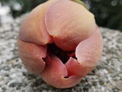 -烈士陵园(地铁站)