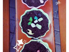 -哈尔滨文化公园