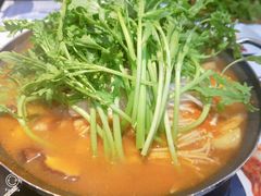 韩式肥牛蘑菇大酱火锅-青松馆韩国料理(香港中路佳世客店)