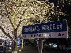 -堤角公园
