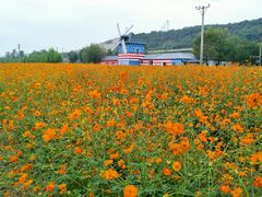-大连铭湖国际观光牧场