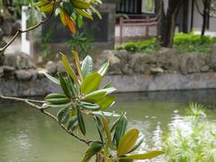 -九龙寨城公园