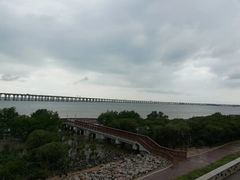 -宝安西湾红树林湿地公园