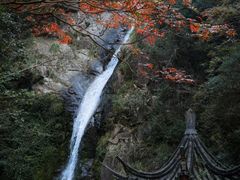 -宁波五龙潭景区
