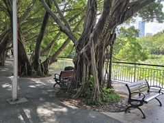 -人民公园(罗湖区)