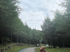 -红崖峡谷景区