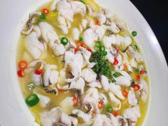 招牌青椒鱼-青花椒花椒鱼(合生汇店)