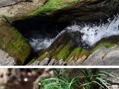 -木兰云雾山