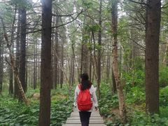 -白草畔自然风景区