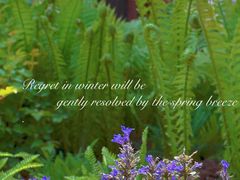 -云峰山自然风景区