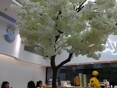 -艾薯夫妇Aysh(福田星河COCOPark店)