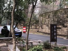 -灵谷景区
