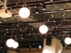 -素虎小呆鸟(西二旗店)