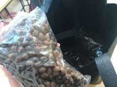 -巴厘岛黄金金兔咖啡工厂