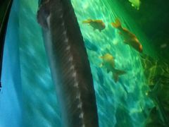 -常州海昌海洋探索馆