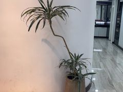 -牙博士口腔品牌连锁(昆山城区店)