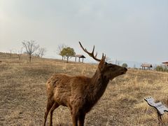 -良渚古城遗址公园