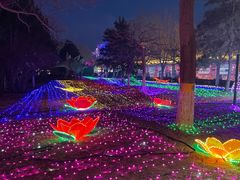 -青龙湖公园