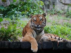 -广州长隆野生动物世界