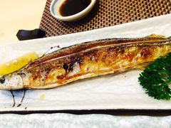 -樱の千渡日式料理·铁板烧•烧鸟(金盛田广场店)