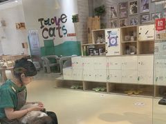 -藏猫猫咖啡主题馆(中央大道店)