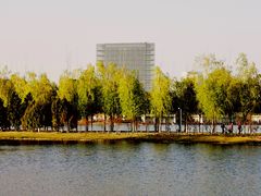 -大兴滨河森林公园