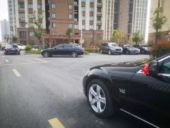 -蚂蚁婚车