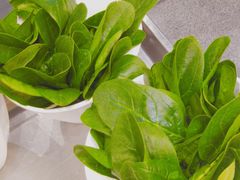 -天都火锅酒楼(虹梅南路店)