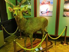 -北海道厅旧本厅舍(旧本庁舎)