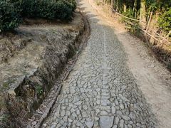 -宁波富邦荪湖山庄(慈城古县城店)