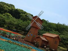 -苏州上方山国家森林公园