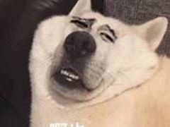 -泽成冰煮羊火锅(中正天街店)