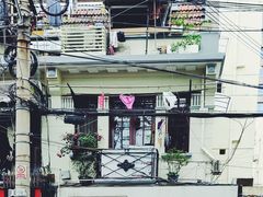 -村口大树(长乐路店)