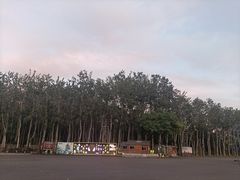 -枫花园汽车电影院(朝阳公园店)