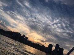 -前海沿·青岛菜(大拇指广场石老人店)