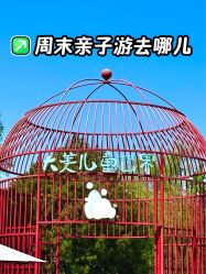 -大美儿童世界(奥林匹克水上公园店)