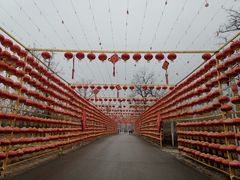 -北京凤凰岭