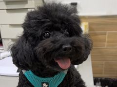 -爱侣宠医·鹦鹉专科·小型哺乳类·异宠专科(灵石路店)