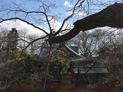 -井之头恩赐公园