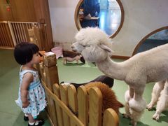 -藦茜花园宠物主题亲子互动体验馆(国顺东路店)
