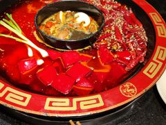 -叉叉裤鲜火锅(空港新城店)