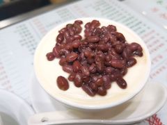 -义顺牛奶公司(新马路老店)