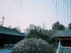 -碑林公园