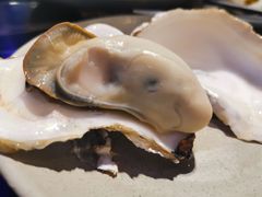 -千岛蚝高压锅生蚝·人参火锅(白云万达店)