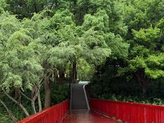 -美兰湖景区
