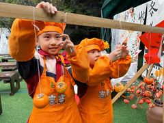 -金豆子幼稚园