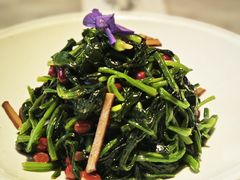 香拌菠菜-北平盛世·新京菜·北京烤鸭(劲松·双井店)